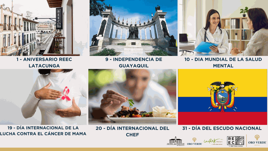Odoo • Texto e imagen