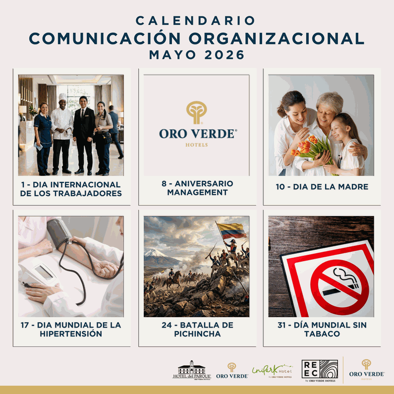 Odoo • Texto e imagen